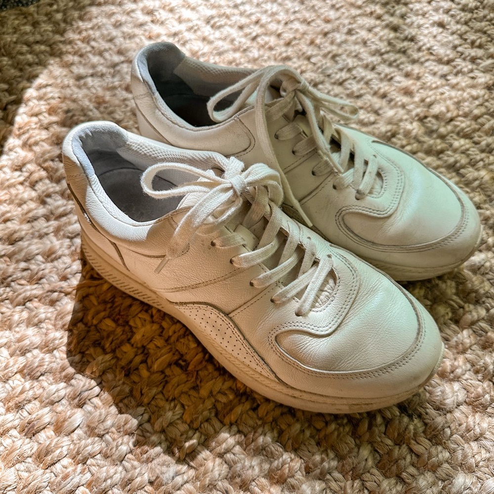 Everlane Sneaker - The Trainer
